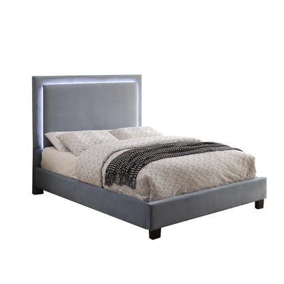 Lumina LED Bed with Ambient Lighting in Queen and King size Online Exclusive