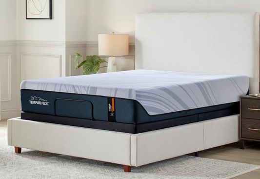 TEMPUR-PEDIC® Tempur-Align® 2.0 Firm Memory Foam